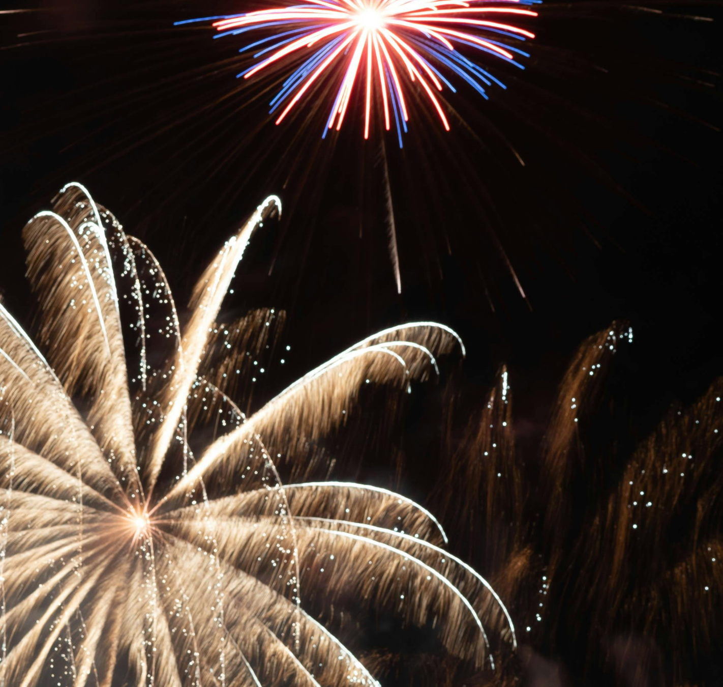 Christmas & New Year